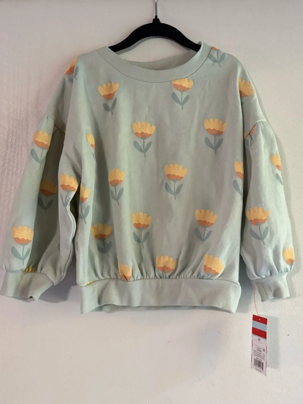 Cat & Jack Girls 2 Piece Set‎ Size 4T Floral Sweatshirt & Striped Pants Matching